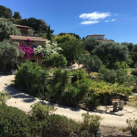 Les Terrasses Sur Mer Ollioules Exterior foto